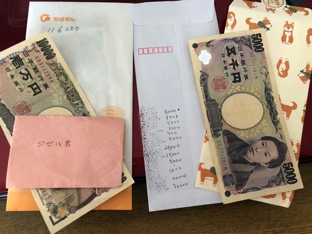 ジゼルくんの医療費のご寄付集計のご報告 かぼすちゃんとおさんぽ Powered By ライブドアブログ ジゼルくんの医療費のご寄付集計のご報告 かぼすちゃんとおさんぽ Powered By ライブドアブログ