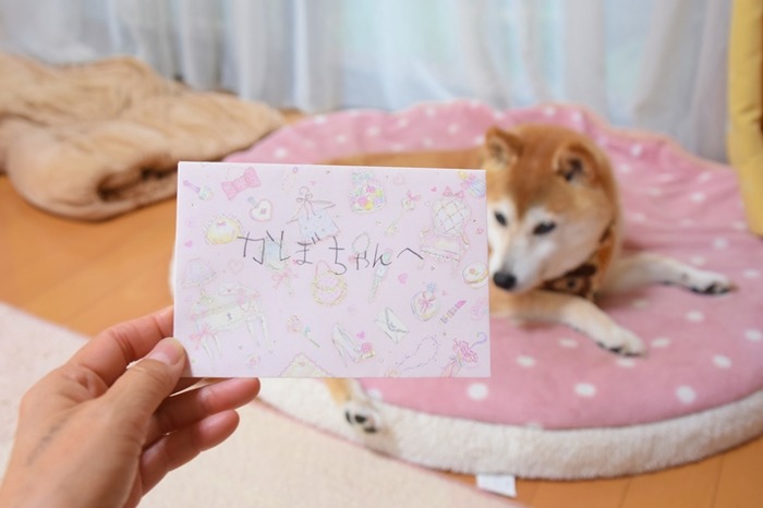 DSC_8595 (2)