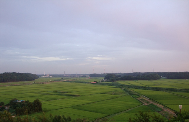 a36a9df6.jpg