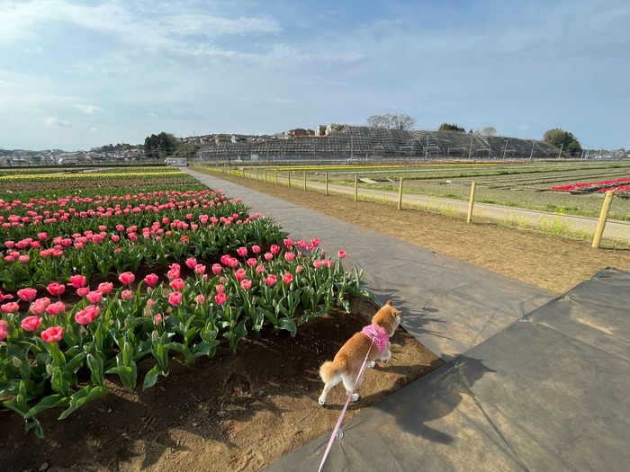 ファイル_005 (1)