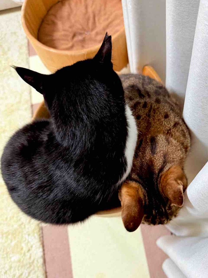FullSizeRender