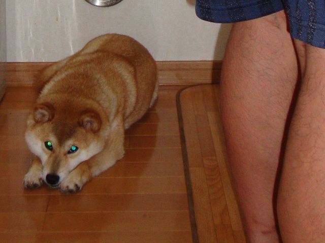 a5da69c6.jpg