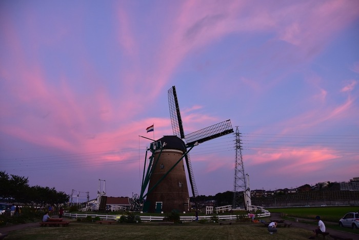 DSC_1069 (2)
