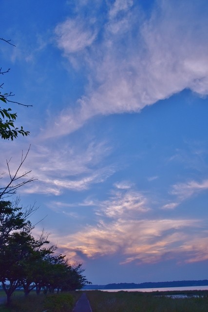 DSC_1379