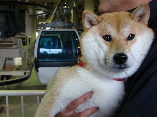 a82608e6.jpg