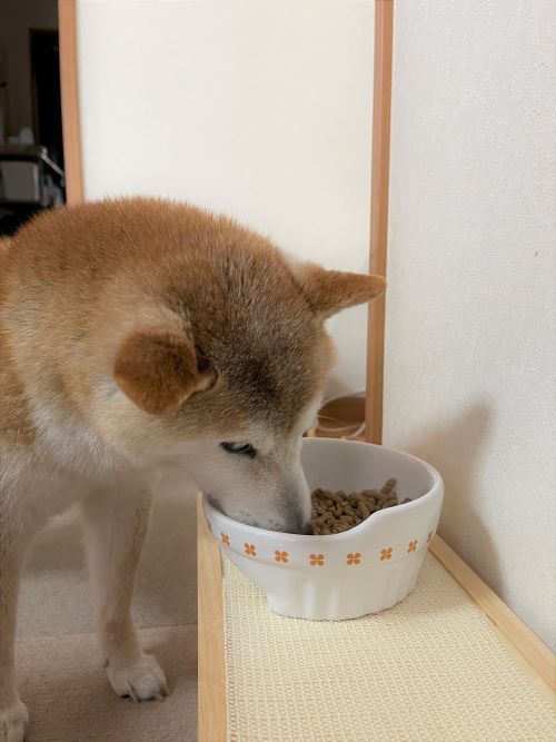 ファイル_006