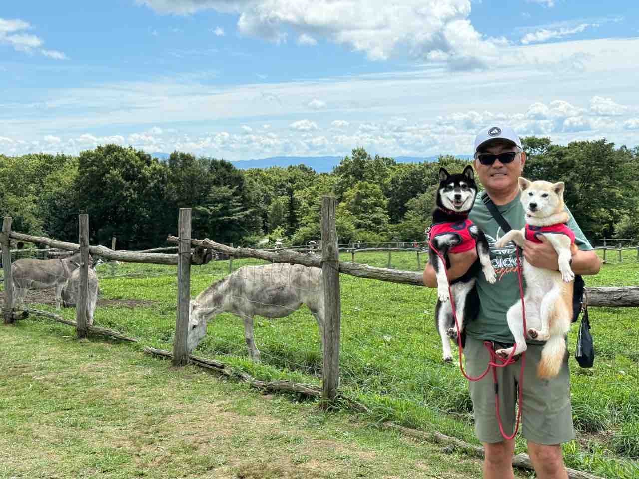 【kabochan様ご予約】 🍀 KADOKAWA 公式オンラインショップの カドストから かぼす