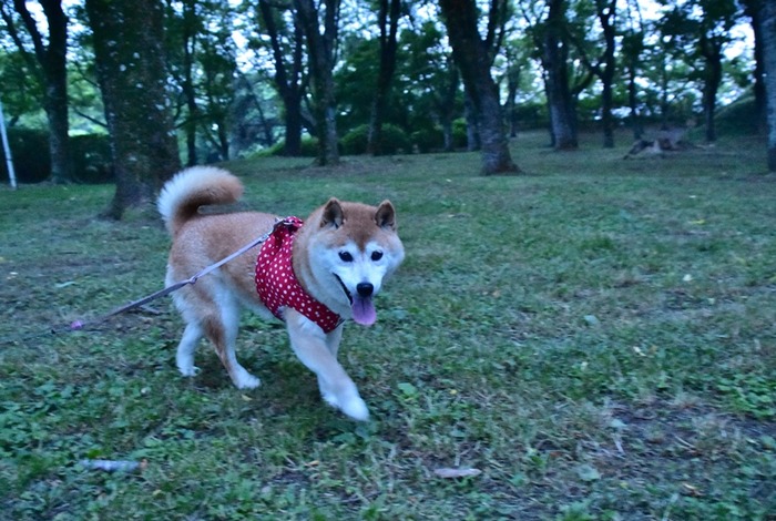 DSC_5768 (2) - コピー.jpgxx