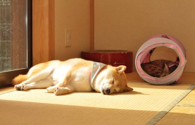 ab644a75.jpg