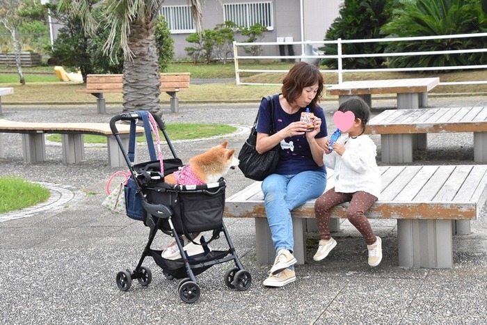 DSC_4990 (2)