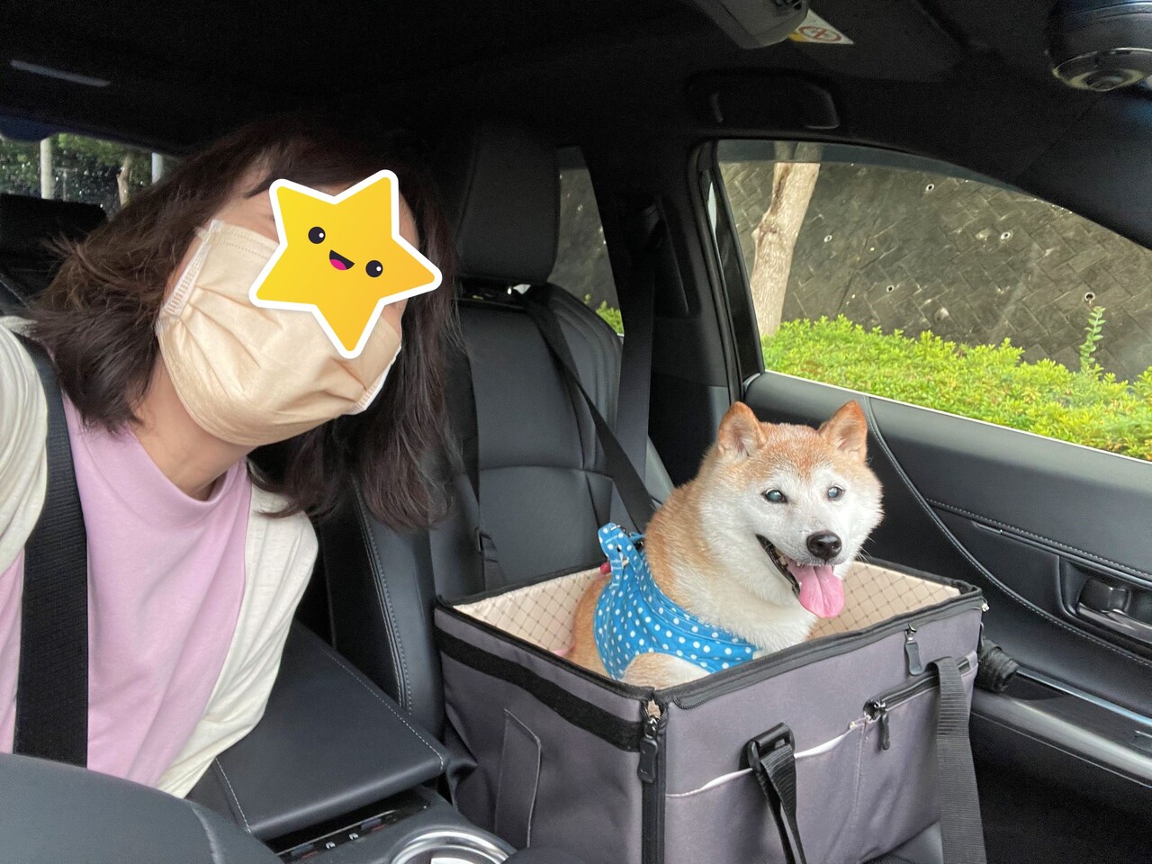 いぬのきもちweb Magazine更新しました 90 キュンキュン鳴きの解決策 かぼすちゃんとおさんぽ Powered By ライブドアブログ いぬのきもちweb Magazine更新しました 90 キュンキュン鳴きの解決策 かぼすちゃんとおさんぽ Powered By ライブドアブログ