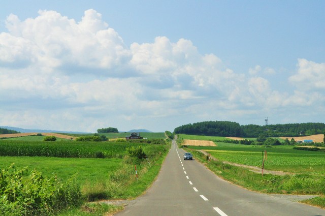 ad4618d3.jpg