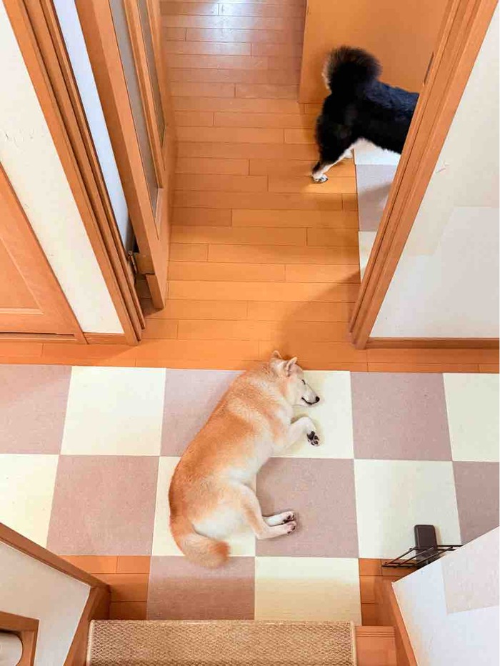 FullSizeRender