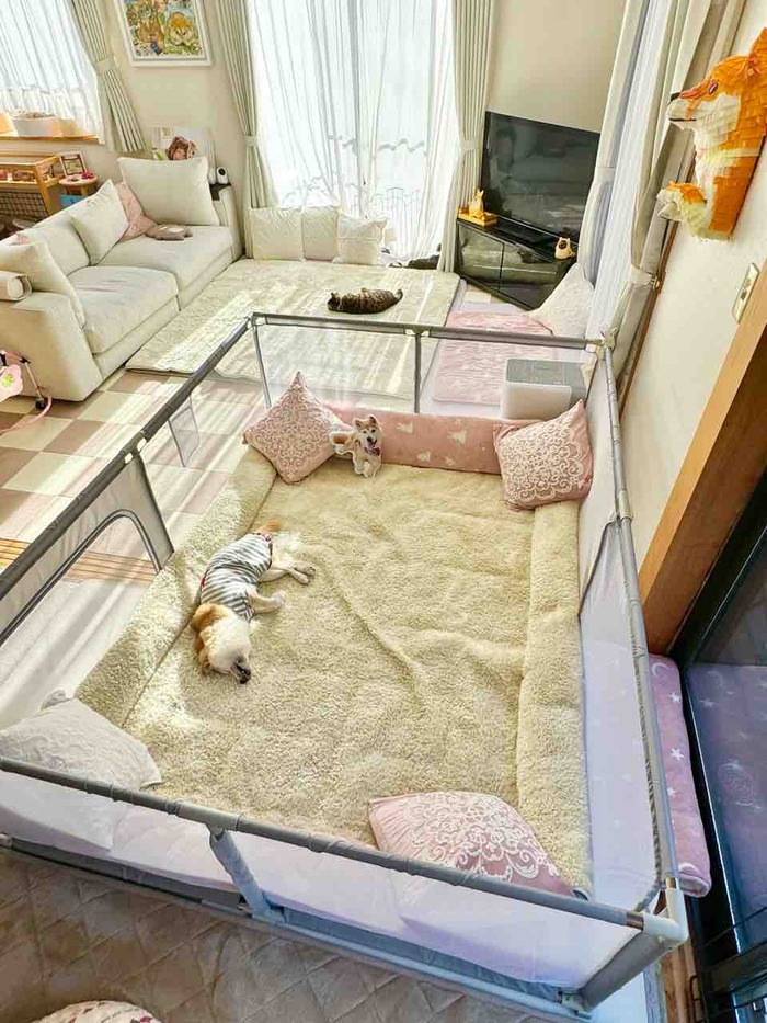 FullSizeRender