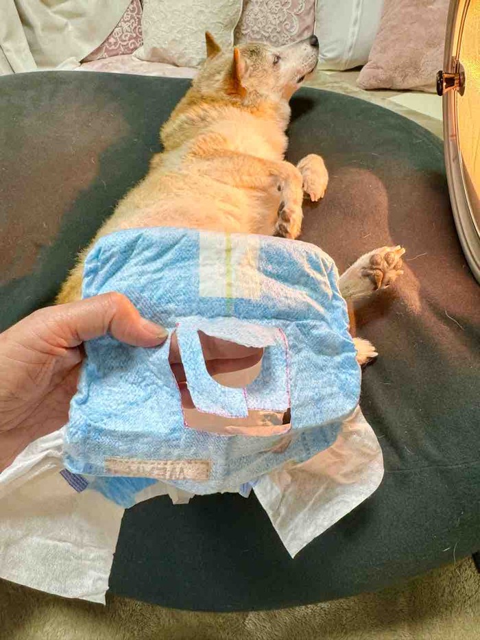 FullSizeRender