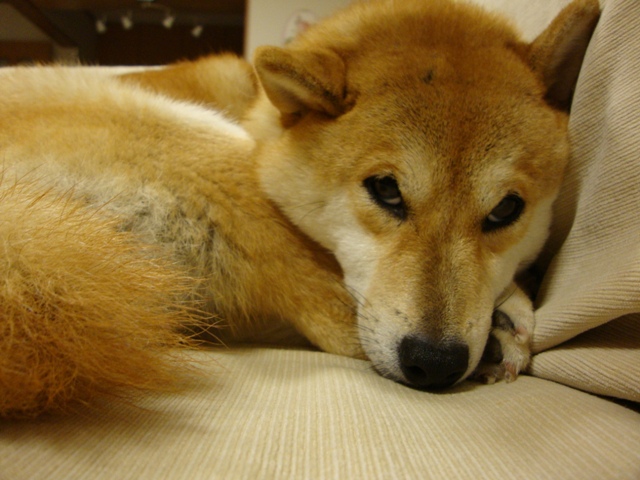 b0b81a35.jpg