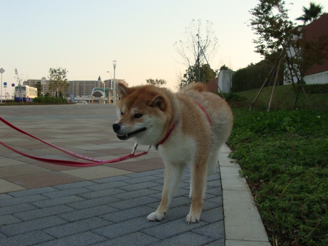 b1e91ebe.jpg
