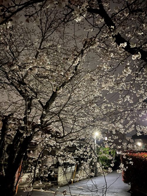ファイル_009