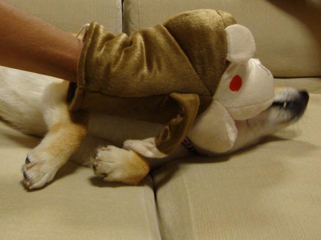 b3b55e1c.jpg