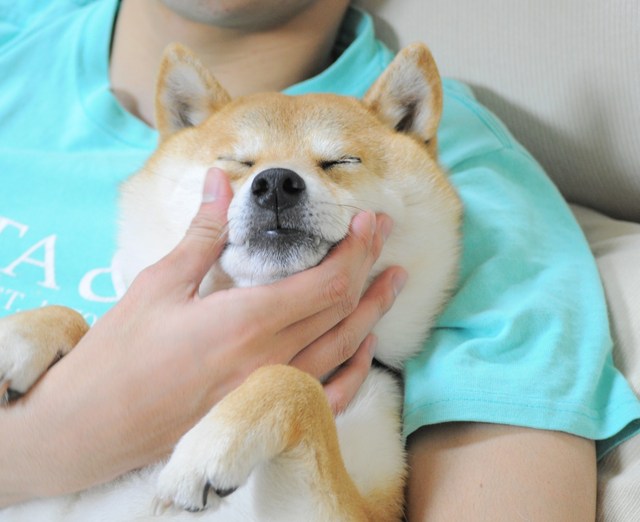 b48dd9f7.jpg