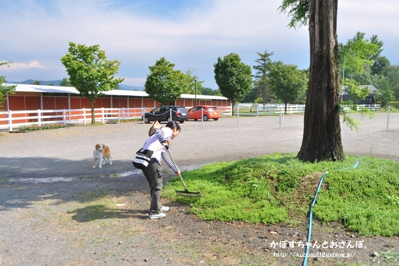 b5f0928d.jpg