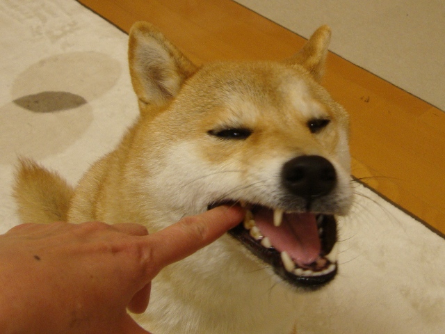 b61d3ba0.jpg
