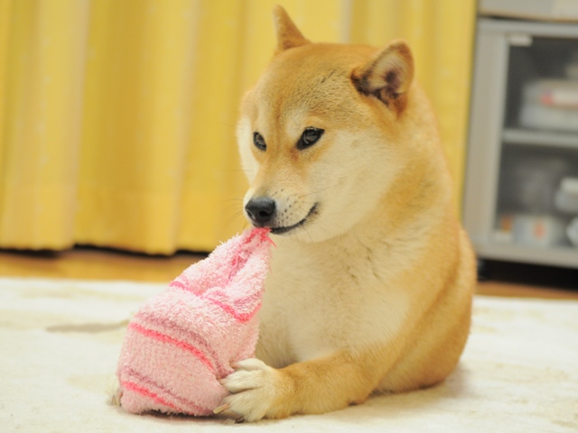 b8bd3cd2.jpg