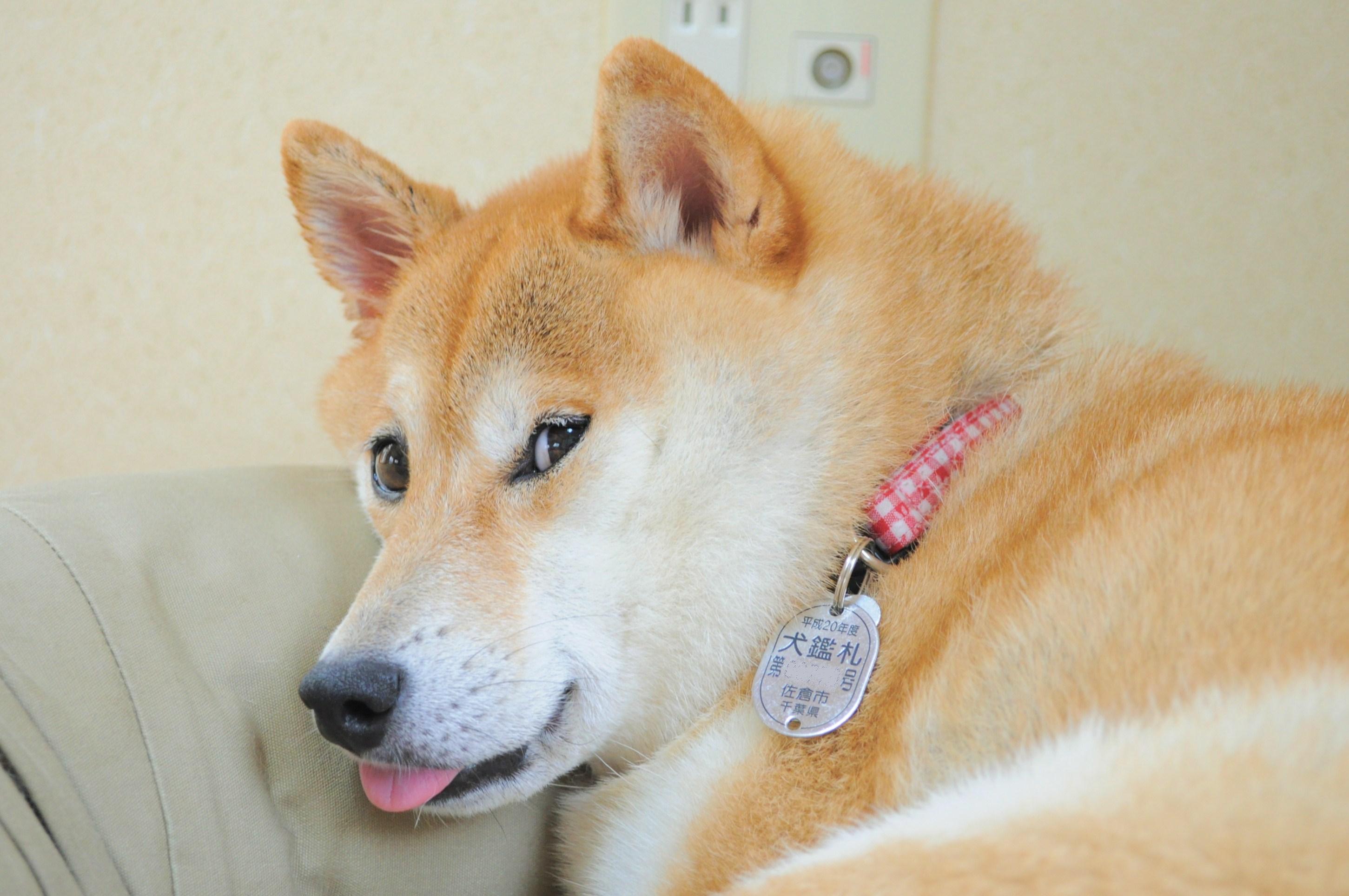 b9f04bc7.jpg