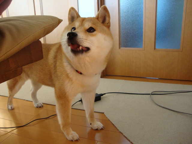 ba83b71c.jpg
