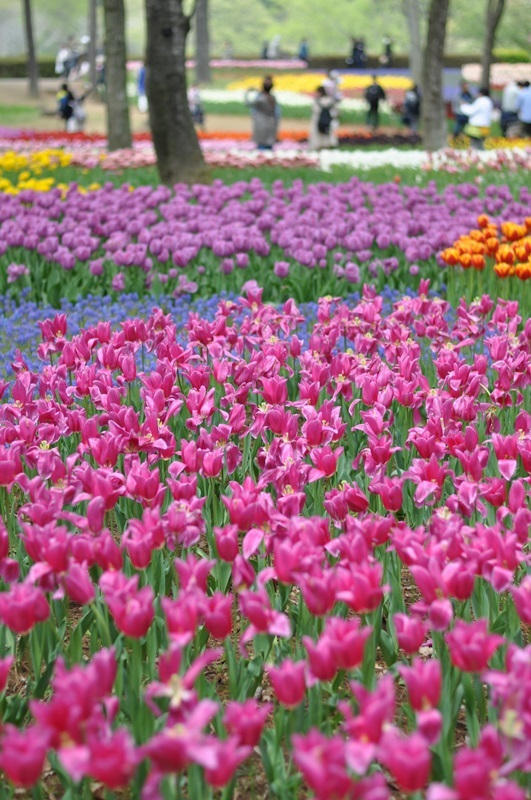 bc033df9.jpg