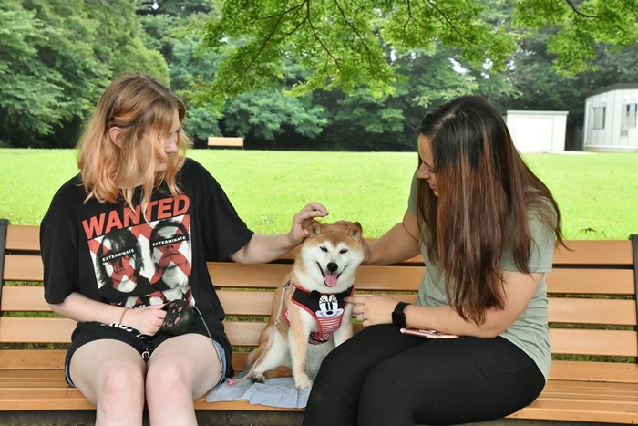DSC_7932 (2)