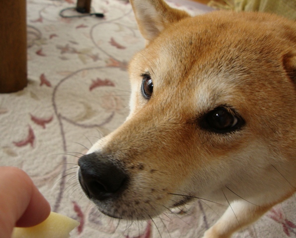 c0131d37.jpg