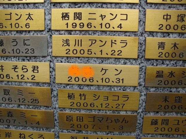 c25844ff.jpg