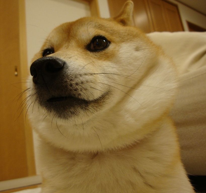 c25dd333.jpg