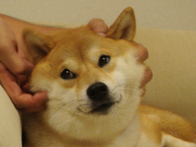 c2f15d09.jpg