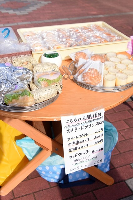 DSC_0381_original