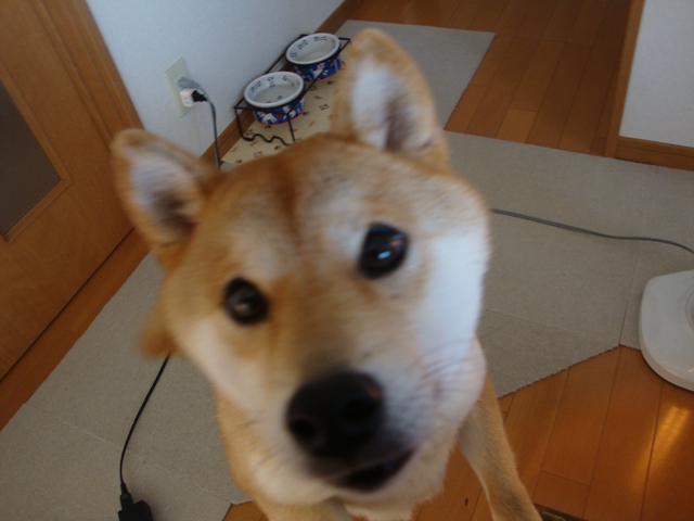 c7b63645.jpg