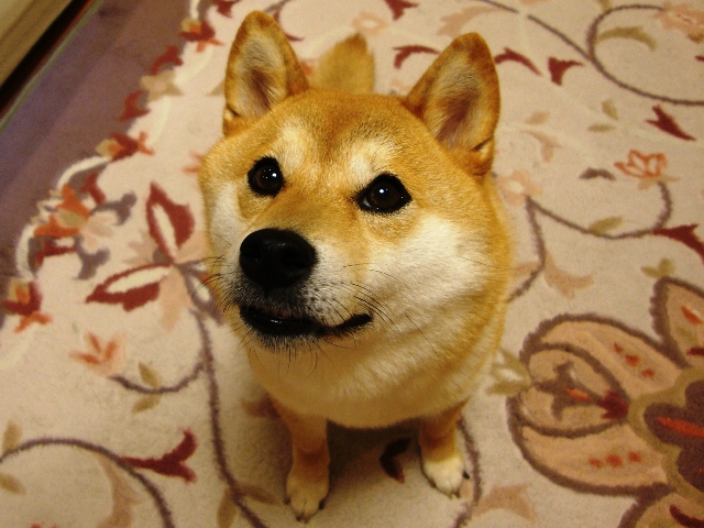 c7d0c000.jpg