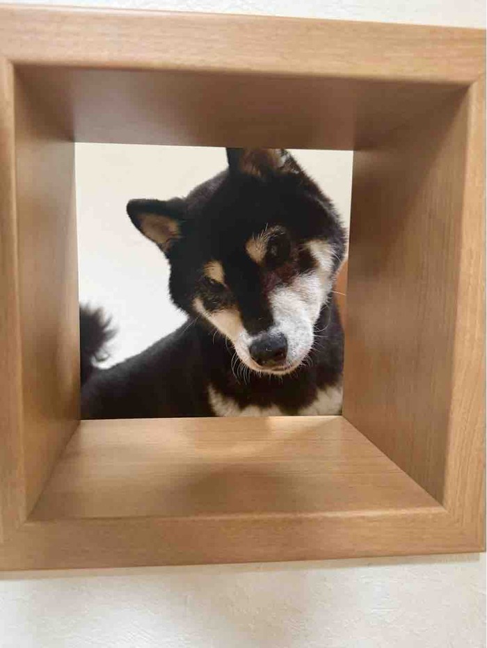 FullSizeRender