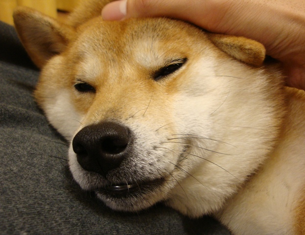 c9e1d097.jpg