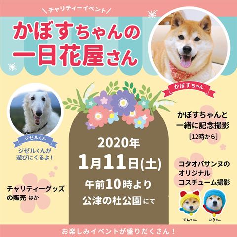 かぼすちゃんの一日花屋さんの商品を募集しています かぼすちゃんとおさんぽ Powered By ライブドアブログ かぼすちゃんの一日花屋さんの商品を募集しています かぼすちゃんとおさんぽ Powered By ライブドアブログ