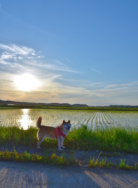 DSC_6247 (2).jpgxx