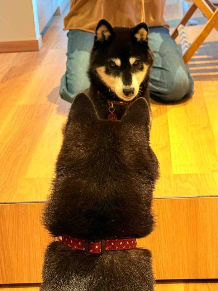 FullSizeRender