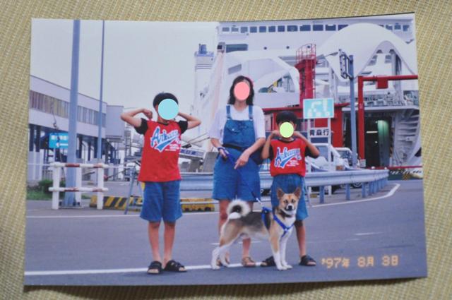 d24384a5.jpg