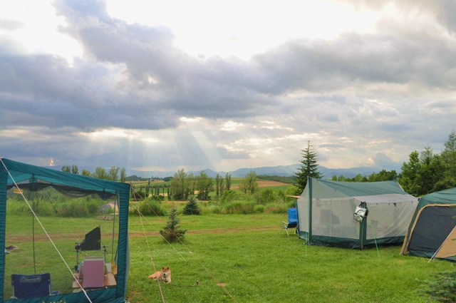 d250d4e6.jpg