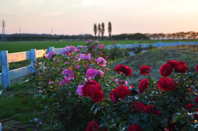 d3093f52.jpg