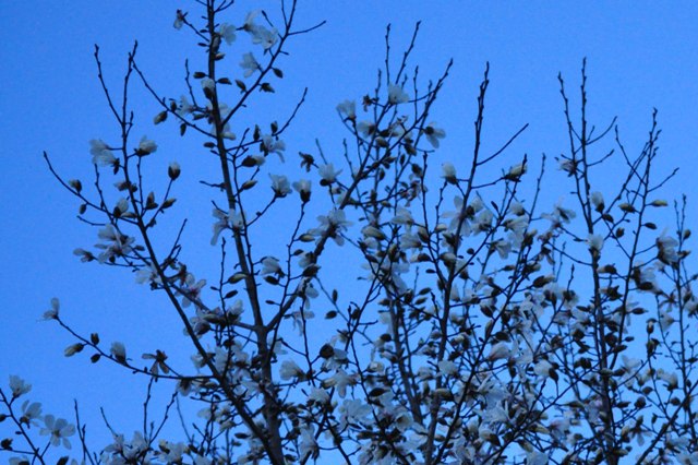 d3331378.jpg