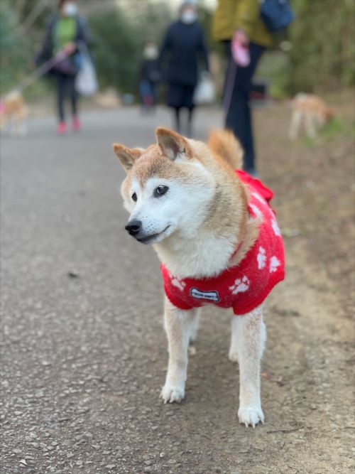 ファイル_019 (1)xx