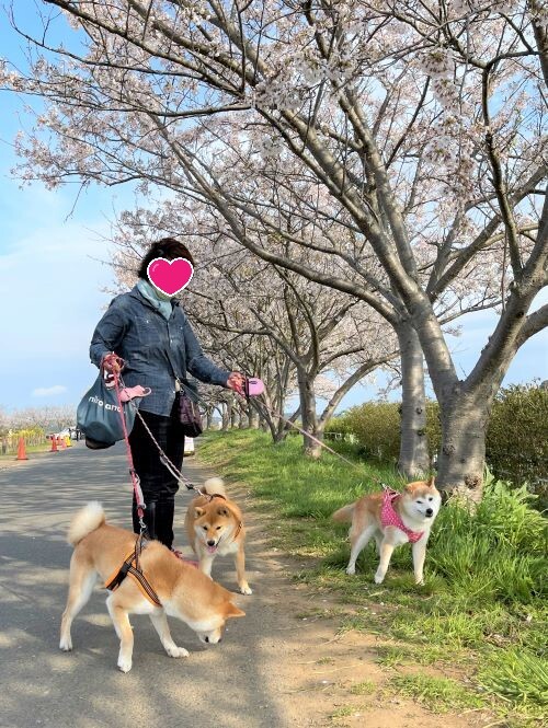 ファイル_020 (1)