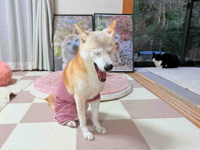 FullSizeRender